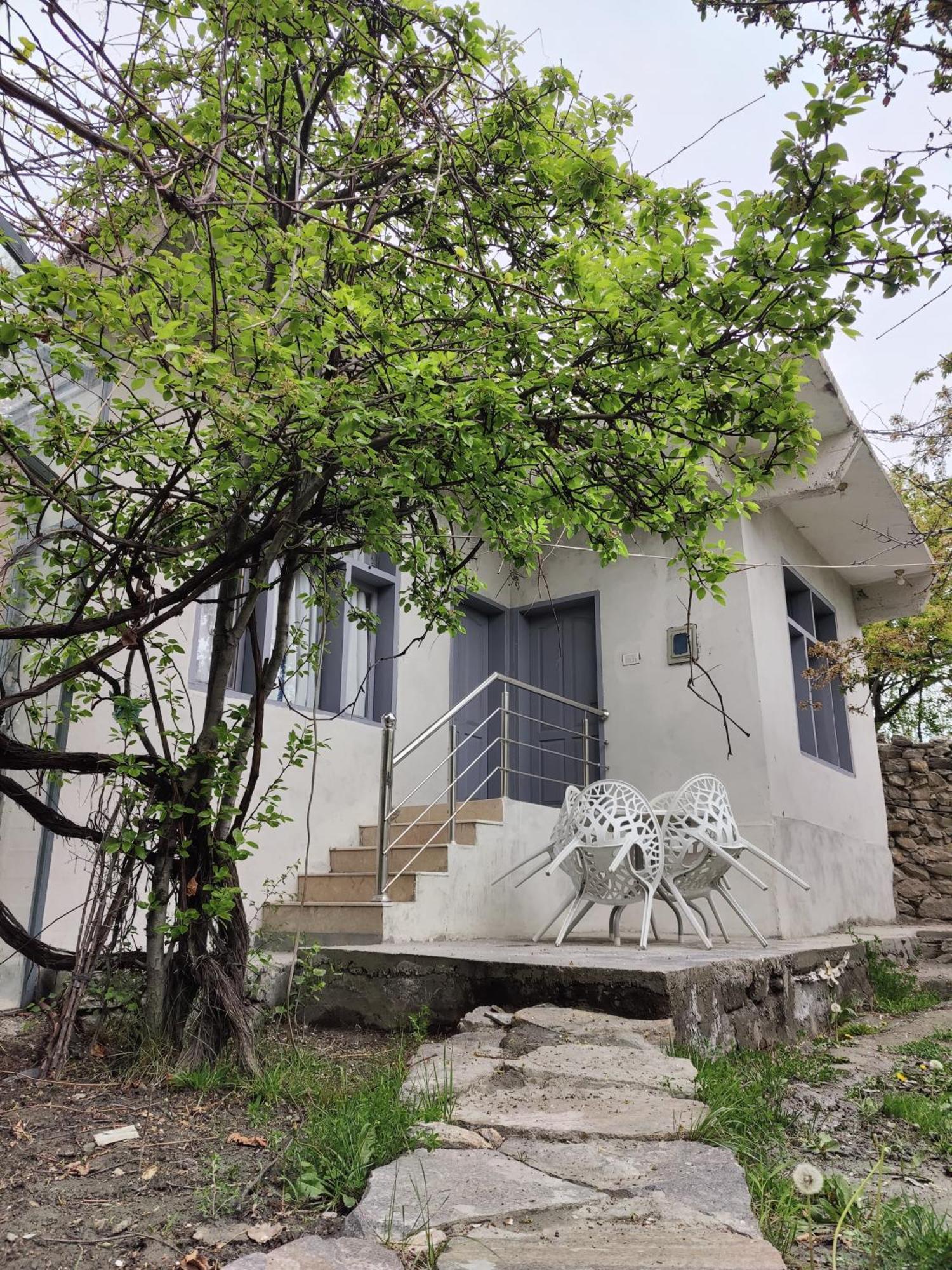 Grapes Garden Resort Hunza Karimabad  Εξωτερικό φωτογραφία